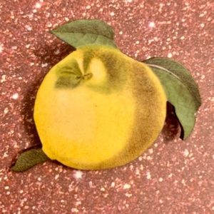 Lemon brooch pin